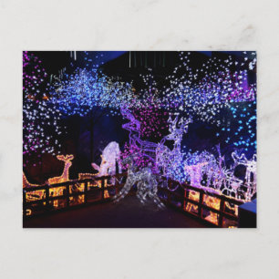 Cartes Pour Fêtes Annuelles Décorations De Noël Roses Et Violettes En Plein Ai
