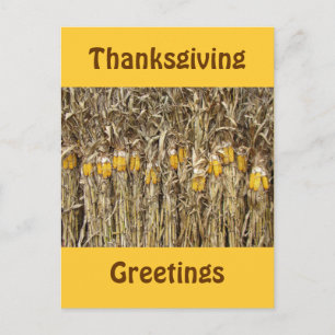 Cartes Pour Fêtes Annuelles Décorations de stalles de maïs séché Thanksgiving