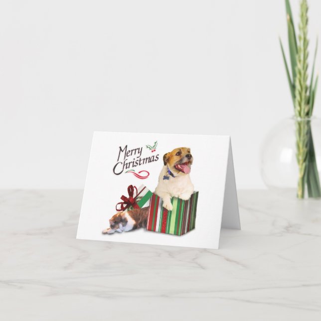 Cartes Pour Fêtes Annuelles D'Eddie et d'Agnès (Devant)