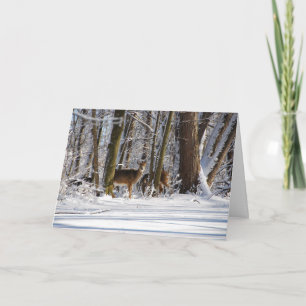 Cartes Pour Fêtes Annuelles Deer in Snowy Eagle Creek City Park