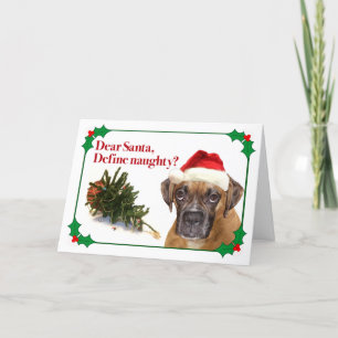 Cartes Pour Fêtes Annuelles Définir la boîte coquine