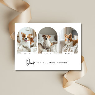 Cartes Pour Fêtes Annuelles Définir Naughty Christmas Arch Photo Chien Avec Le