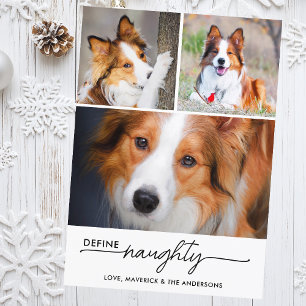 Cartes Pour Fêtes Annuelles Définir Naughty Funny Personnalisé Animaux Photos 