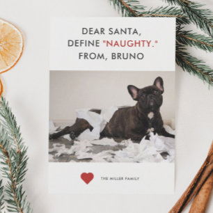 Cartes Pour Fêtes Annuelles Définir Naughty Funny Photo pour animal de compagn
