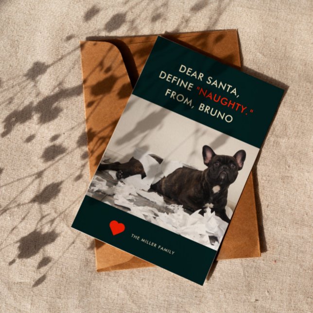 Cartes Pour Fêtes Annuelles Définir Naughty | Photo de chien mignonne et drôle (Créateur téléchargé)