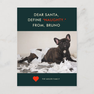 Cartes Pour Fêtes Annuelles Définir Naughty   Votre Pet Photo Funny Holiday Ca
