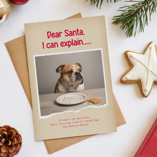 Cartes Pour Fêtes Annuelles Définir Photo de Noël de Chien Drôle Vilain