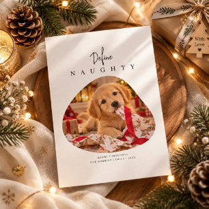 Cartes Pour Fêtes Annuelles Définir Photo de Noël de Chiot Drôle Vilain