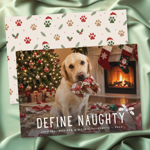 Cartes Pour Fêtes Annuelles Définir Photo Drôle de Noël Naughty Dog