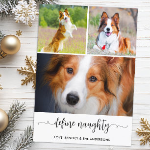 Cartes Pour Fêtes Annuelles Définir un chien coquin Photo Collage Noël