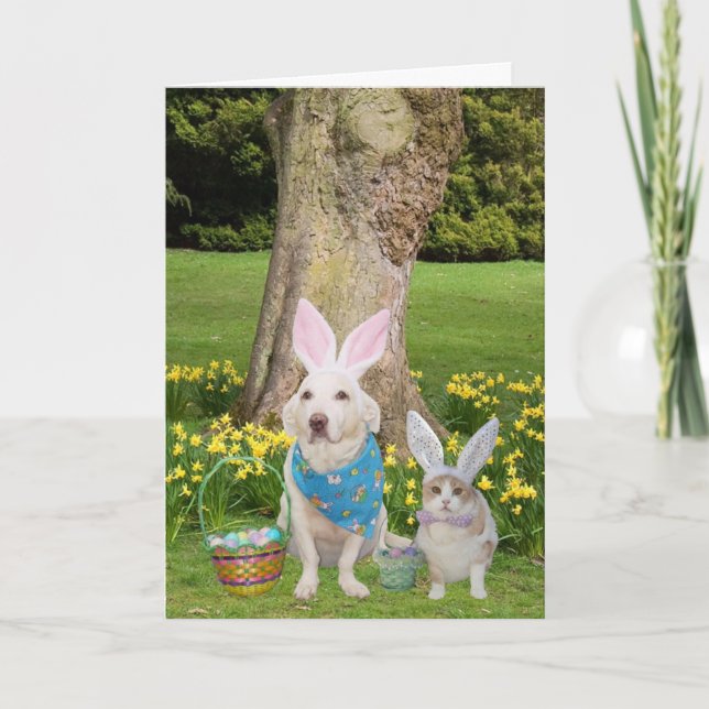 Cartes Pour Fêtes Annuelles Des Lapins T'Aiment ! (Devant)