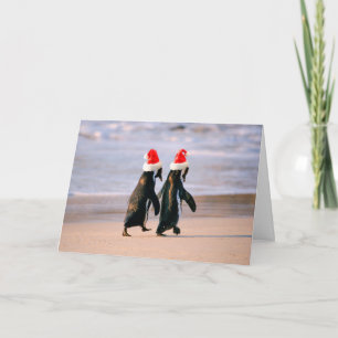 Cartes Pour Fêtes Annuelles Des pingouins à Santa Hats sur la plage