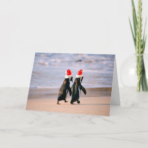 Cartes Pour Fêtes Annuelles Des pingouins à Santa Hats sur la plage