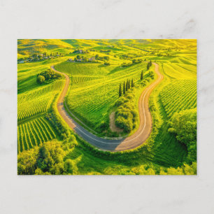 Cartes Pour Fêtes Annuelles Des routes sinueuses à travers les vignobles et le