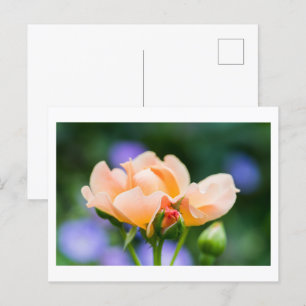 Cartes Pour Fêtes Annuelles désir