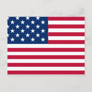 Cartes Pour Fêtes Annuelles Dessin de fierté du drapeau américain USA