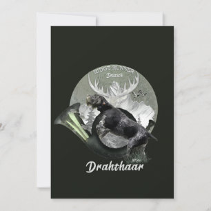 Cartes Pour Fêtes Annuelles Deutsch Drahthaar