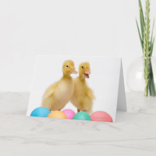 Cartes Pour Fêtes Annuelles Deux canards avec des oeufs de pâques