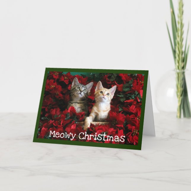 Cartes Pour Fêtes Annuelles Deux chatons et poinsettias (Devant)