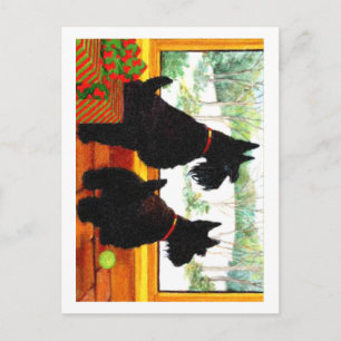 Cartes Pour Fêtes Annuelles Deux Chiens écossais à Noël