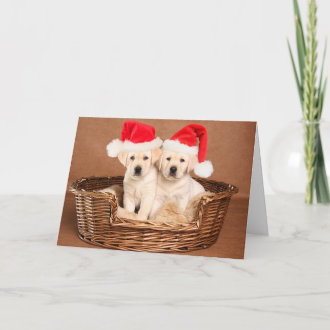 Cartes Pour Fêtes Annuelles Deux Chiots de Noël du laboratoire jaune (Devant)