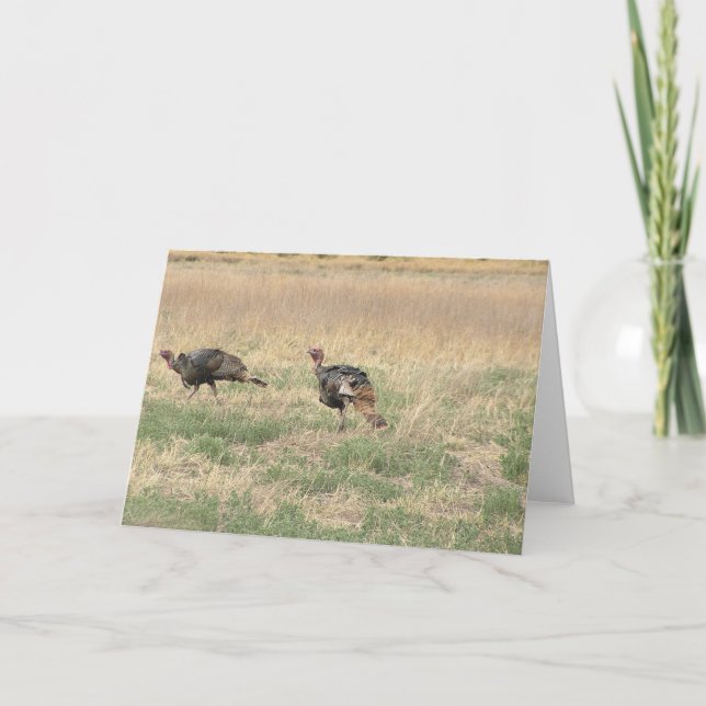 Cartes Pour Fêtes Annuelles Deux dindons (Devant)