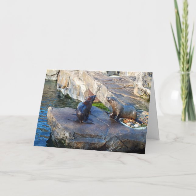 Cartes Pour Fêtes Annuelles Deux phoques à fourrure (Devant)