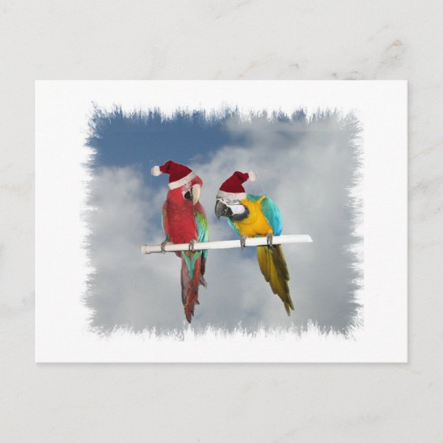 Cartes Pour Fêtes Annuelles Deux Santas macaw (Devant)