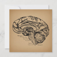 Diagramme de cerveau vintage Art d'anatomie médica