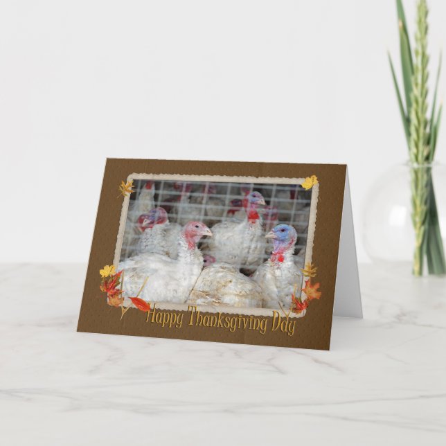 Cartes Pour Fêtes Annuelles Dinde de Thanksgiving (Devant)