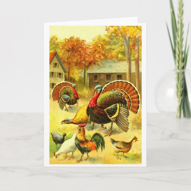 Cartes Pour Fêtes Annuelles Dindes et poulets (Devant)