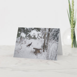 Cartes Pour Fêtes Annuelles Dindon de Thanksgiving vierge