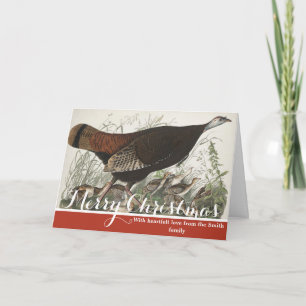 Cartes Pour Fêtes Annuelles Dindon sauvage femelle et jeunes de Audubon de sty
