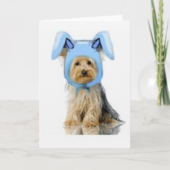 Cartes Pour Fêtes Annuelles Ditzy Dogs~Carte pour notes original~Yorkie (Devant)