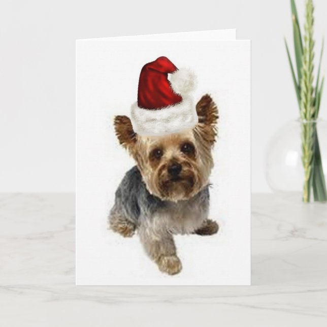 Cartes Pour Fêtes Annuelles Ditzy Dogs~Carte pour notes original~Yorkie~Noël (Devant)