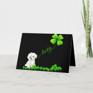 Cartes Pour Fêtes Annuelles Dog Lover Irish Shamrock Lucky With Cute Maltese