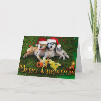 Cartes Pour Fêtes Annuelles Dog Merry Christmas Card