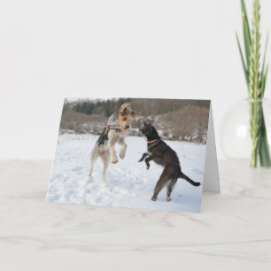 Cartes Pour Fêtes Annuelles Dogs having fun in the Snow Christmas