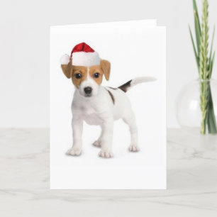 Cartes Pour Fêtes Annuelles Dogs~Original Ditzy Card~Jack de salutation