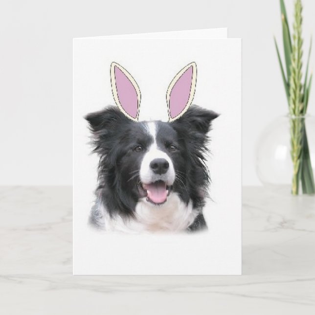 Cartes Pour Fêtes Annuelles Dogs~Original Ditzy Notecard~Border Collie~Easter (Devant)