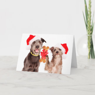 Cartes Pour Fêtes Annuelles Dogs Sharing HOWLiday cheer Christmas Card