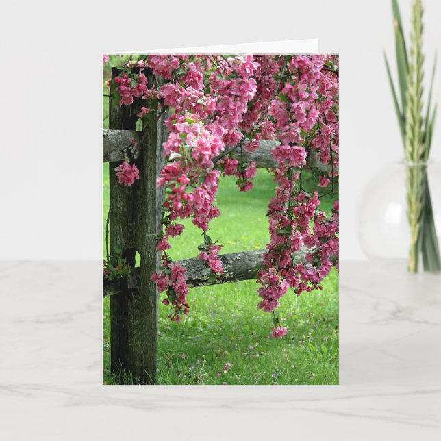 Cartes Pour Fêtes Annuelles Dogwood de Pâques (Devant)