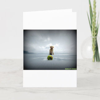 Cartes Pour Fêtes Annuelles Dongles et ball.jpg