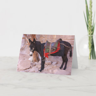Cartes Pour Fêtes Annuelles Donkey