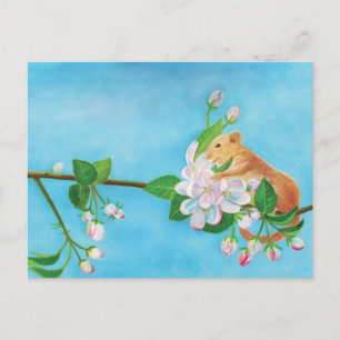 Cartes Pour Fêtes Annuelles Dortoir commun sur branche en fleurs de pommier