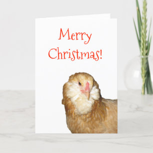 Cartes Pour Fêtes Annuelles Douce poule Ameraucana rousse de Noël !