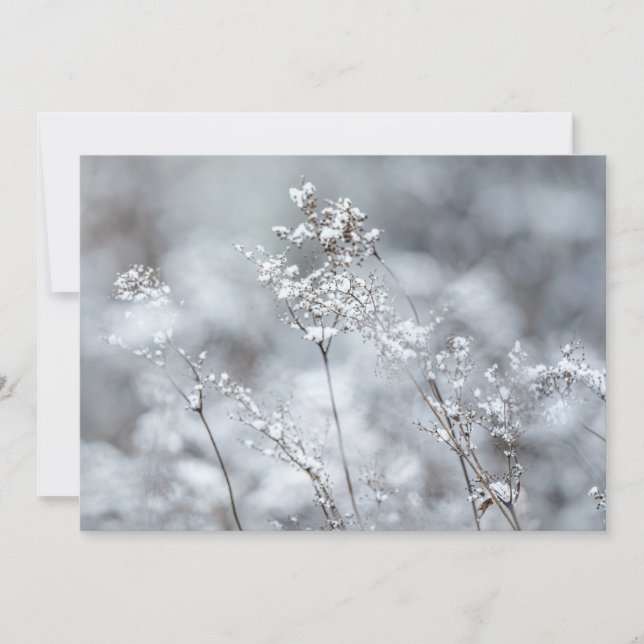 Cartes Pour Fêtes Annuelles Douceur d'hiver, enneigée (Devant)