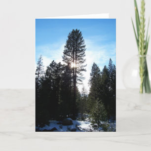 Cartes Pour Fêtes Annuelles Douglas Fir