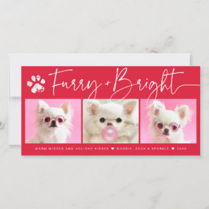 Cartes Pour Fêtes Annuelles Doux et Brillant Collage photo pour animaux de c