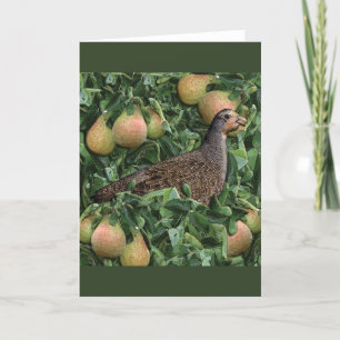 Cartes Pour Fêtes Annuelles Douze Jours de Noël -Perdrix dans un Poirier